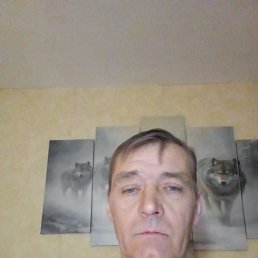 , 46, 