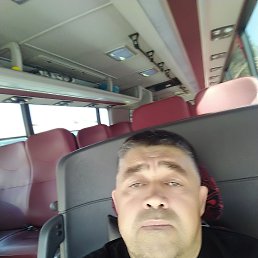 �����, 56 ���, ������������