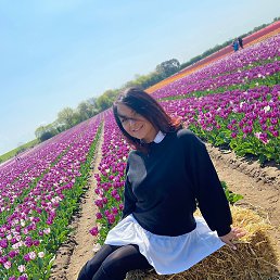 ������ ���������, ������