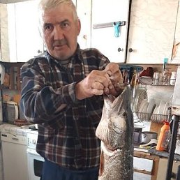 ��������, 53 ����, ����������