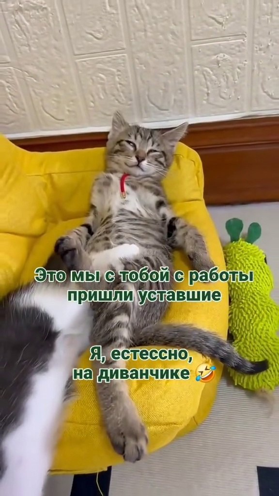 ) - 2