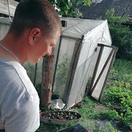 ���� ������, ������������, 35 ��� - ��������� 3 ������� 2026