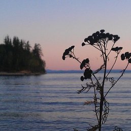 �����, ���, 38 ���