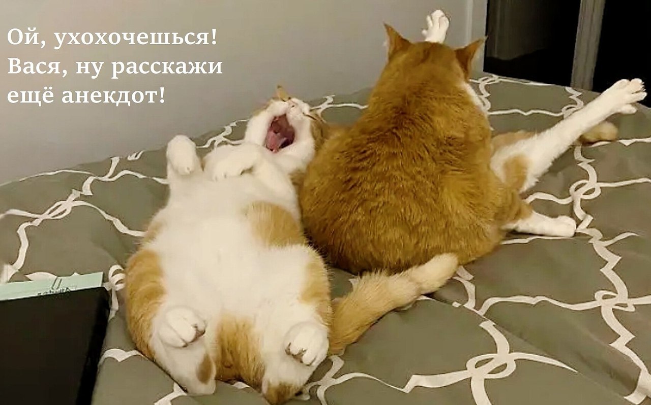 ��� ���� � ����� �� �� - 29 ������� 2025 � 21:33
