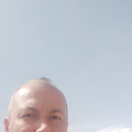 , 41, 