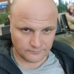 ������, �����, 40 ���