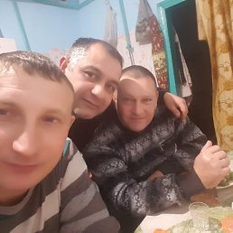 , 53, 