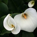 ���� ����, �������, 51 ��� - ��������� 19 ������� 2025 � ������ ���� ����������