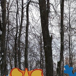 �����, �������, 43 ����