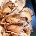 ���� ��������, �������, 55 ��� - ��������� 12 ����� 2026 � ������ ������ ��������