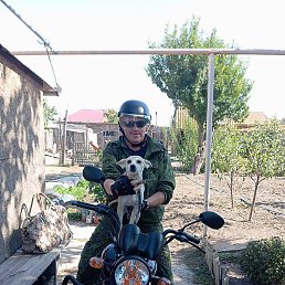 ������ �������, ���������, 50 ���