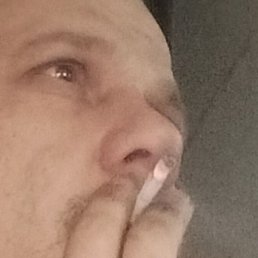 ����, �������, 37 ���