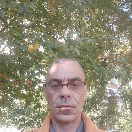 , 46, 