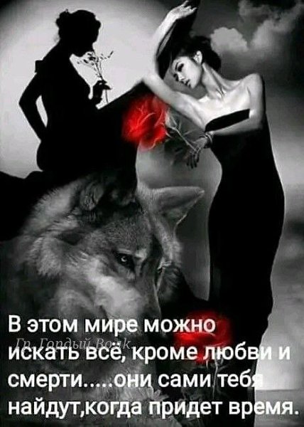 ₪╬═►  ||  ||  ◄═╬₪ - 25  2024  04:24
