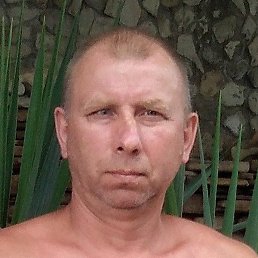 ������, ������������, 56 ���