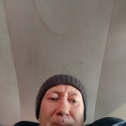 , 41, 