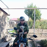 ������ �������, 50 ���, ���������