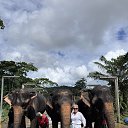 ���� ������, ����-��������� - ��������� 6 ��� 2025 � ������ ���� ����������