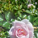 ���� ������, �����-���������, 62 ���� - ��������� 25 �������� 2025 � ������ �������