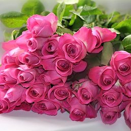 ������, ������������, 60 ���