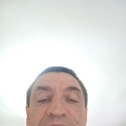 , 51, 
