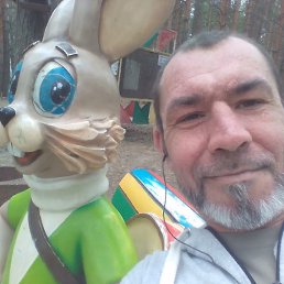 Kot, 41, 