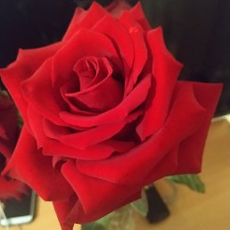 �����, ����, 49 ���