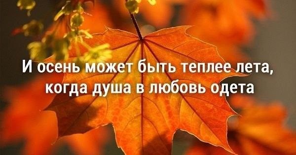 Осень одевает нас в любовь, Чтоб не мёрзли под дождём холодным, Дарит много самых тёплых слов, ...