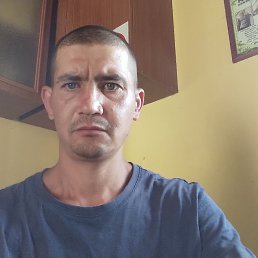 , 33, 