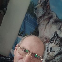 �����, 49 ���, �������