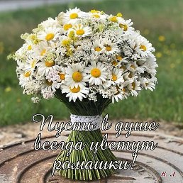 � ���� �������� ,��� �������! -Z-, ��������