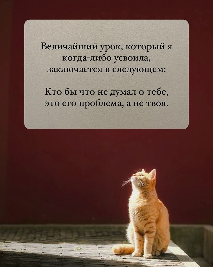   - 16  2025  11:50