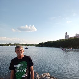 , 65, 