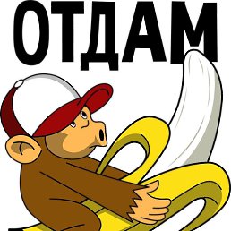 ���� �����, �����������, 37 ��� - ��������� 6 ������ 2023