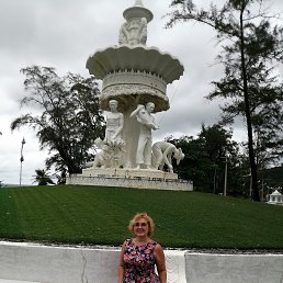 , 61, 