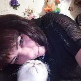 �����, ������, 41 ���