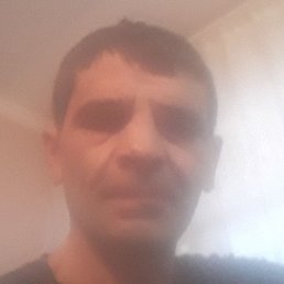 , , 46 