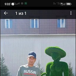 ������ �������, ������, 44 ����