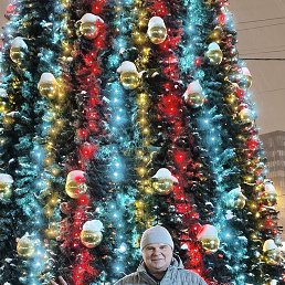 ���� �������, ������, 50 ��� - ��������� 14 ������ 2026