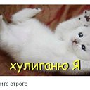 ���� �����, �����, 52 ���� - ��������� 27 ������ 2024 � ������ ���� ����������