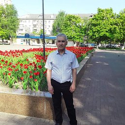 , 54, 