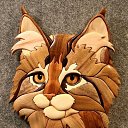 ���� �������, ���������, 47 ��� - ��������� 7 ������ 2026