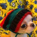 ���� ����, ���������, 22 ���� - ��������� 19 ������� 2025