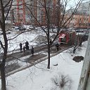 ���� ���, ������, 43 ���� - ��������� 17 ����� 2024 � ������ ���� ����������