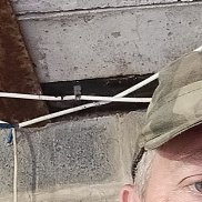 , 50 , 