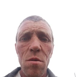 , 41 , 