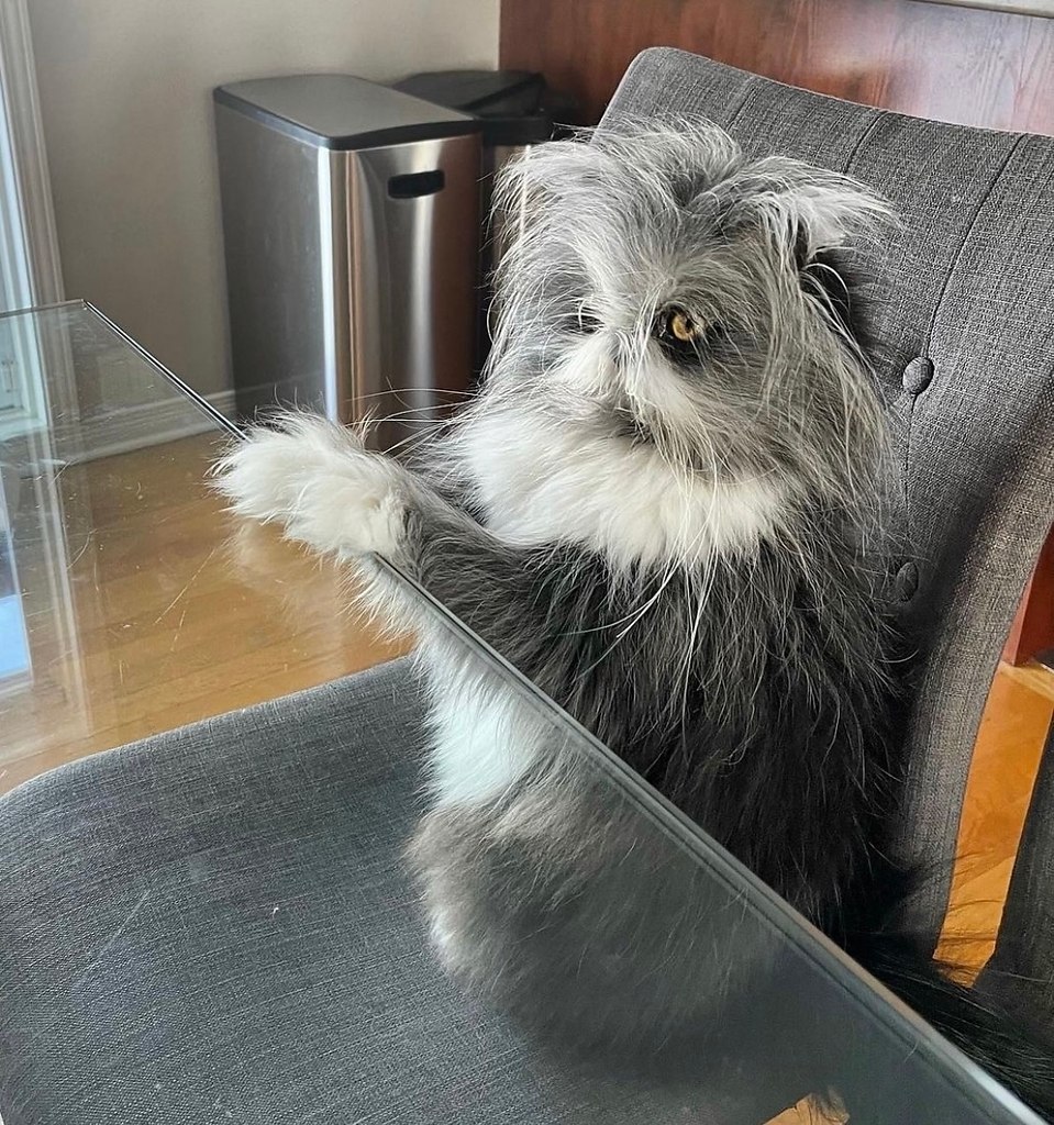 - � ��� ��� ��� ������? - �� ������� �� �����... - 3