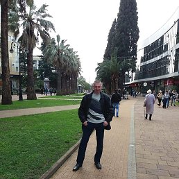 �����, ���������, 44 ����