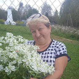 ������� ���������, ������, 64 ����