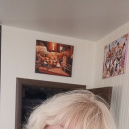 ���� �����, �����, 48 ��� - ��������� 7 ������ 2026